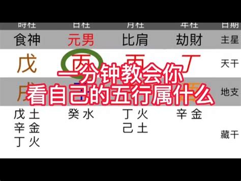 天運五行 金|天運五行屬金什麼意思